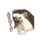 hedgehog love（個別スタンプ：14）