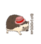 hedgehog love（個別スタンプ：18）