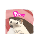 hedgehog love（個別スタンプ：21）