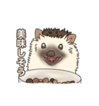 hedgehog love（個別スタンプ：25）