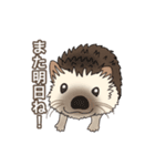 hedgehog love（個別スタンプ：36）