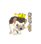 hedgehog love（個別スタンプ：37）