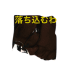 ぼく、おじさん（個別スタンプ：12）