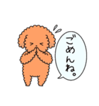 トイプーの日常会話（個別スタンプ：1）