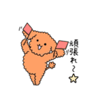 トイプーの日常会話（個別スタンプ：5）