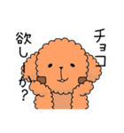 トイプーの日常会話（個別スタンプ：13）