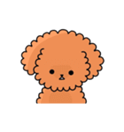 トイプーの日常会話（個別スタンプ：33）