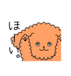 トイプーの日常会話（個別スタンプ：35）