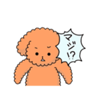トイプーの日常会話（個別スタンプ：36）