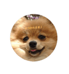 buntaandsakura（個別スタンプ：2）