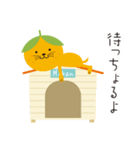 夏ミカン犬（個別スタンプ：5）