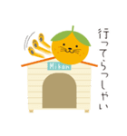 夏ミカン犬（個別スタンプ：6）