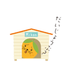 夏ミカン犬（個別スタンプ：22）