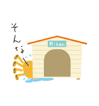 夏ミカン犬（個別スタンプ：30）