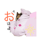 C のC によるCのためのスタンプ（個別スタンプ：3）