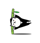 Secret Mission Ninja Meow（個別スタンプ：9）