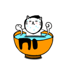 Secret Mission Ninja Meow（個別スタンプ：27）