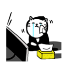 Secret Mission Ninja Meow（個別スタンプ：34）