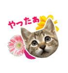うちのもずく（個別スタンプ：2）
