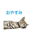 うちのもずく（個別スタンプ：6）