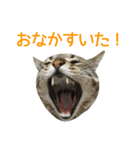 うちのもずく（個別スタンプ：7）