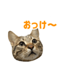 うちのもずく（個別スタンプ：13）