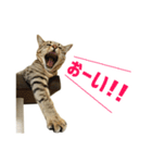 うちのもずく（個別スタンプ：15）