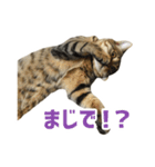 うちのもずく（個別スタンプ：18）