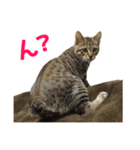 うちのもずく（個別スタンプ：20）
