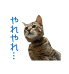 うちのもずく（個別スタンプ：22）