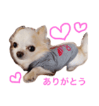 愛しのりんちゃんスタンプ（個別スタンプ：2）