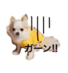 愛しのりんちゃんスタンプ（個別スタンプ：3）