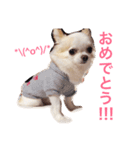 愛しのりんちゃんスタンプ（個別スタンプ：10）