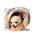 愛しのりんちゃんスタンプ（個別スタンプ：14）