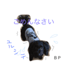 toypoodle Daily conversation（個別スタンプ：7）