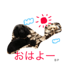 toypoodle Daily conversation（個別スタンプ：18）
