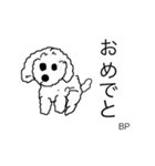 toypoodle Daily conversation（個別スタンプ：20）