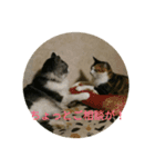 ねこもふもふ（個別スタンプ：5）