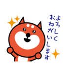 はたらくワン（日常編）（個別スタンプ：31）