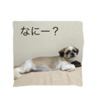 梅吉じぃ＆お松（個別スタンプ：1）