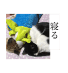 梅吉じぃ＆お松（個別スタンプ：14）