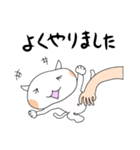 Daijoubu-Neko（個別スタンプ：9）