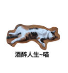 cat1234567（個別スタンプ：7）