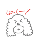 ぶさかわプードル（個別スタンプ：15）