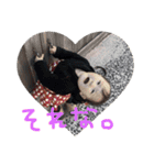 Leeちゃん（個別スタンプ：13）