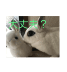 うさぎスタンプモコちゃん2（個別スタンプ：2）