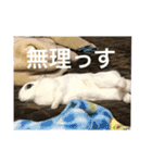 うさぎスタンプモコちゃん2（個別スタンプ：6）