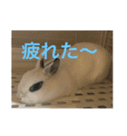 うさぎスタンプモコちゃん2（個別スタンプ：9）