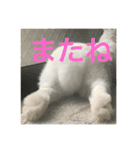 うさぎスタンプモコちゃん2（個別スタンプ：10）