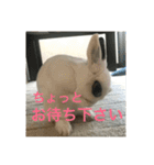 うさぎスタンプモコちゃん2（個別スタンプ：13）